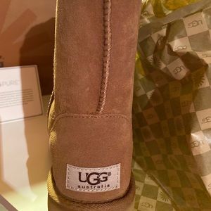 Classic short Chestnut UGG boots